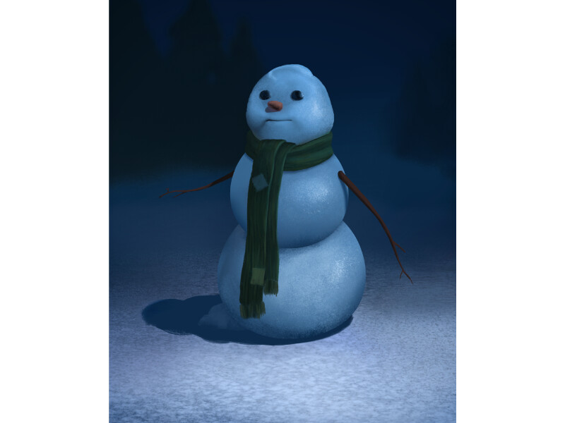 Snowers concept