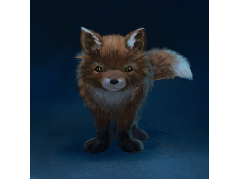 Fuchs concept