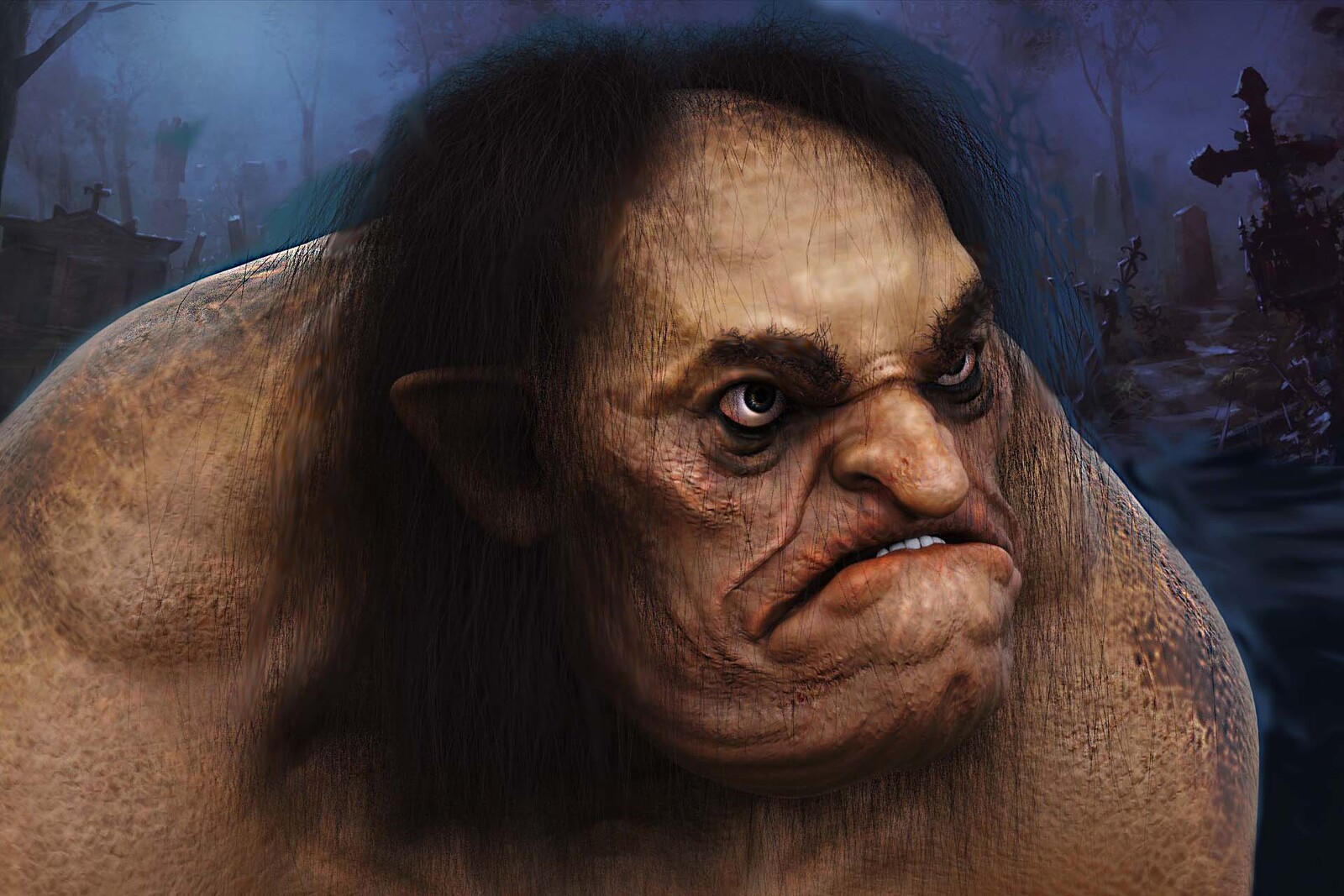 the ORC