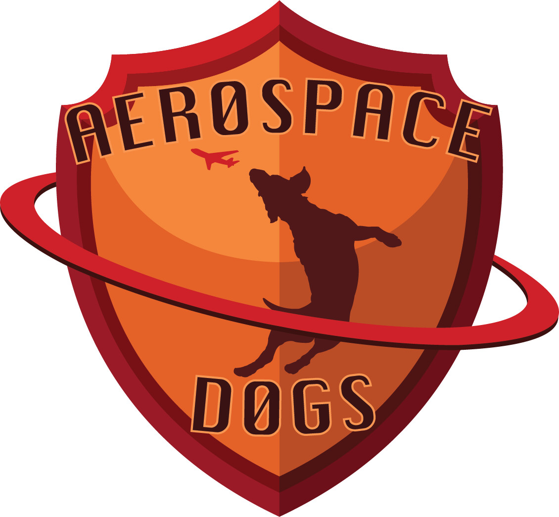 ArtStation - Aerospace logo design