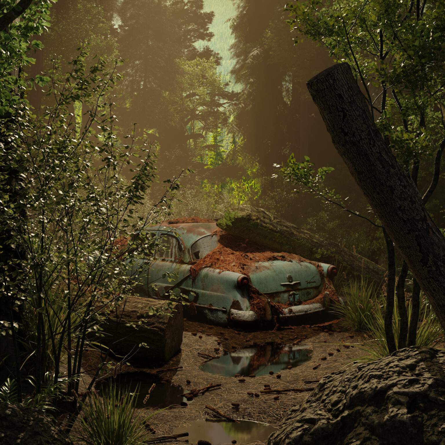 Lost in the woods 3d