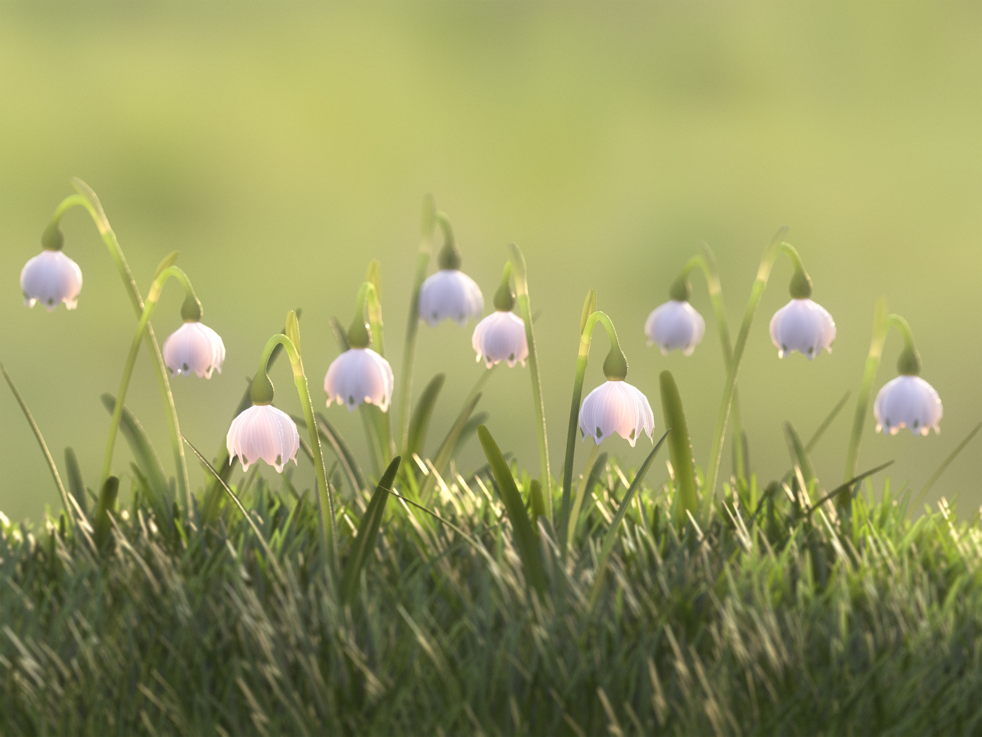 Artstation Spring Snowflake