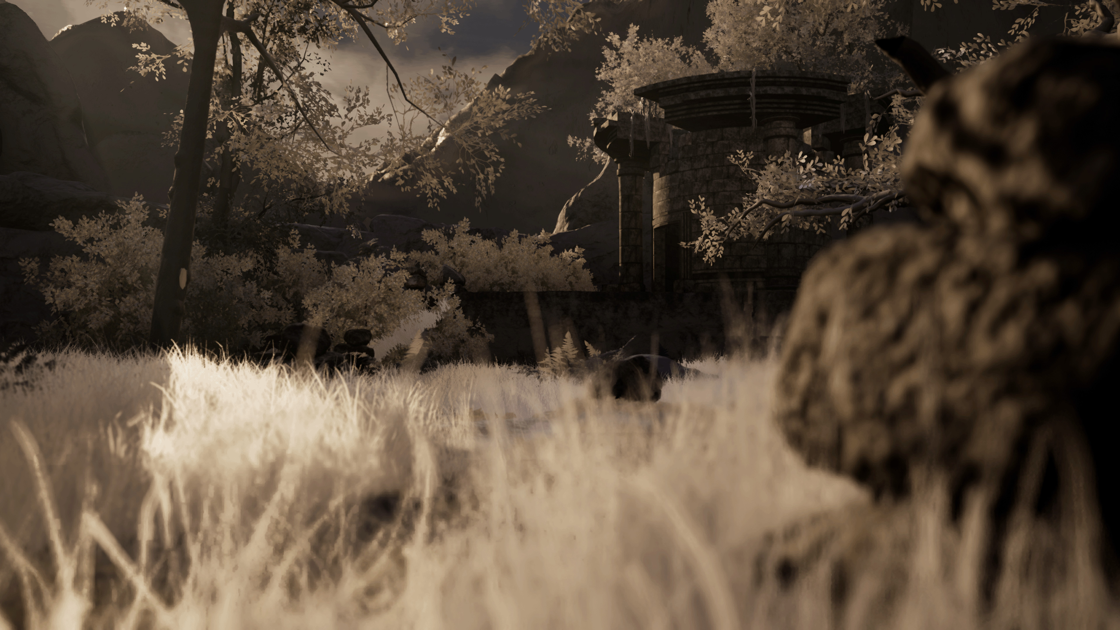 Detail Lighting.