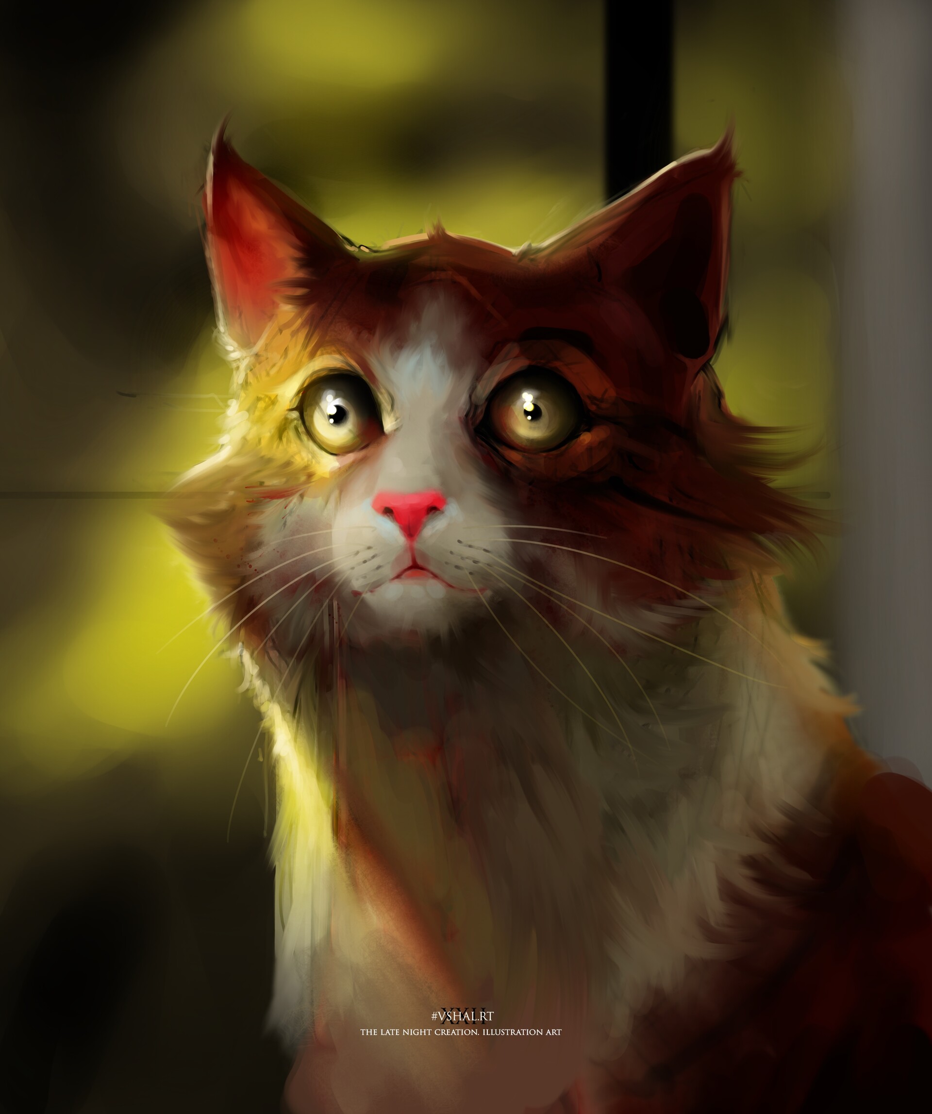 ArtStation - cute cat