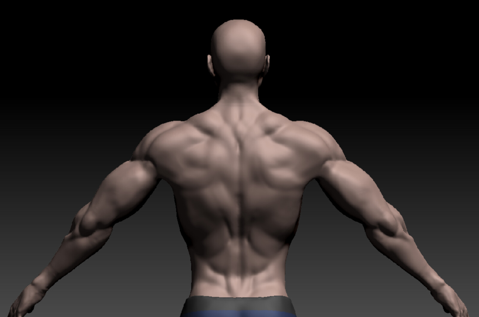 Back view