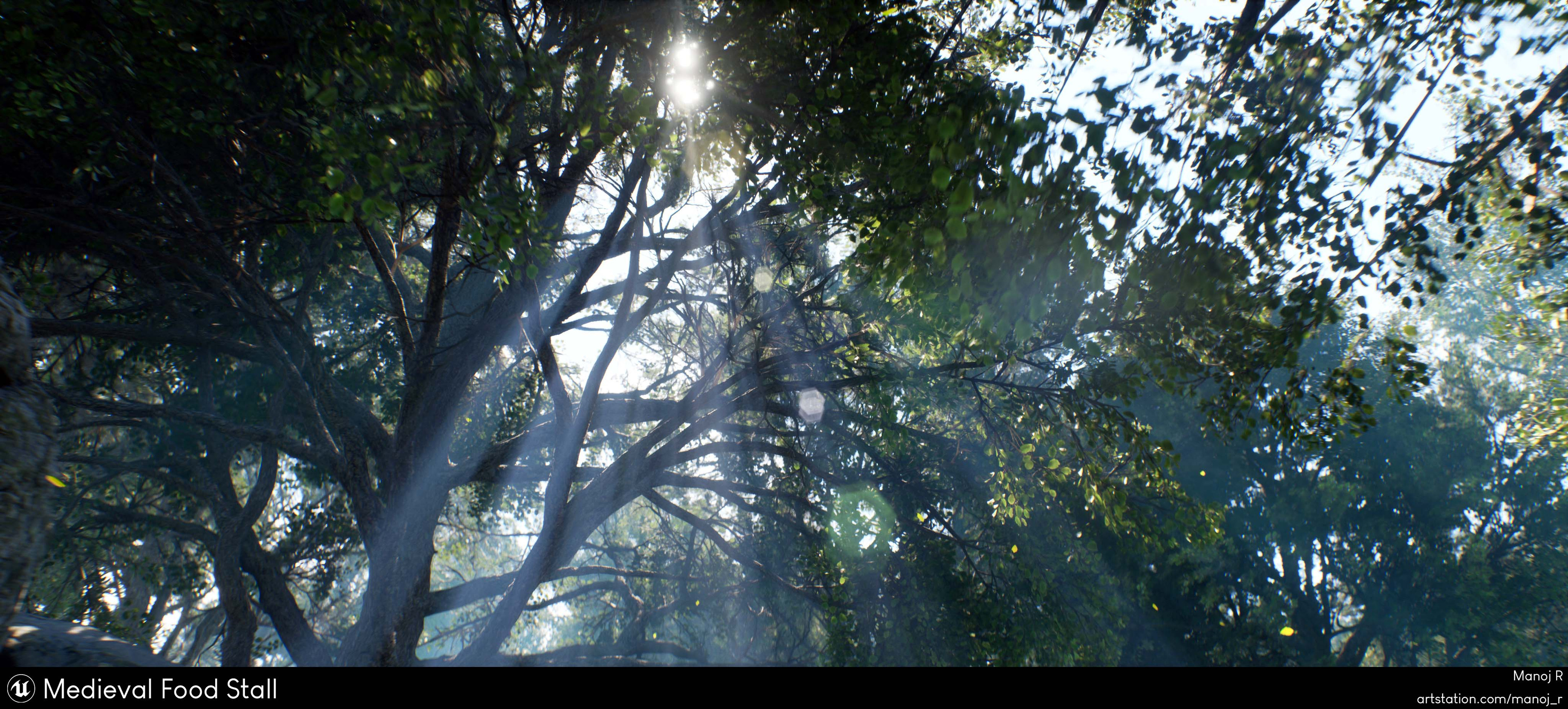 God Rays between trees