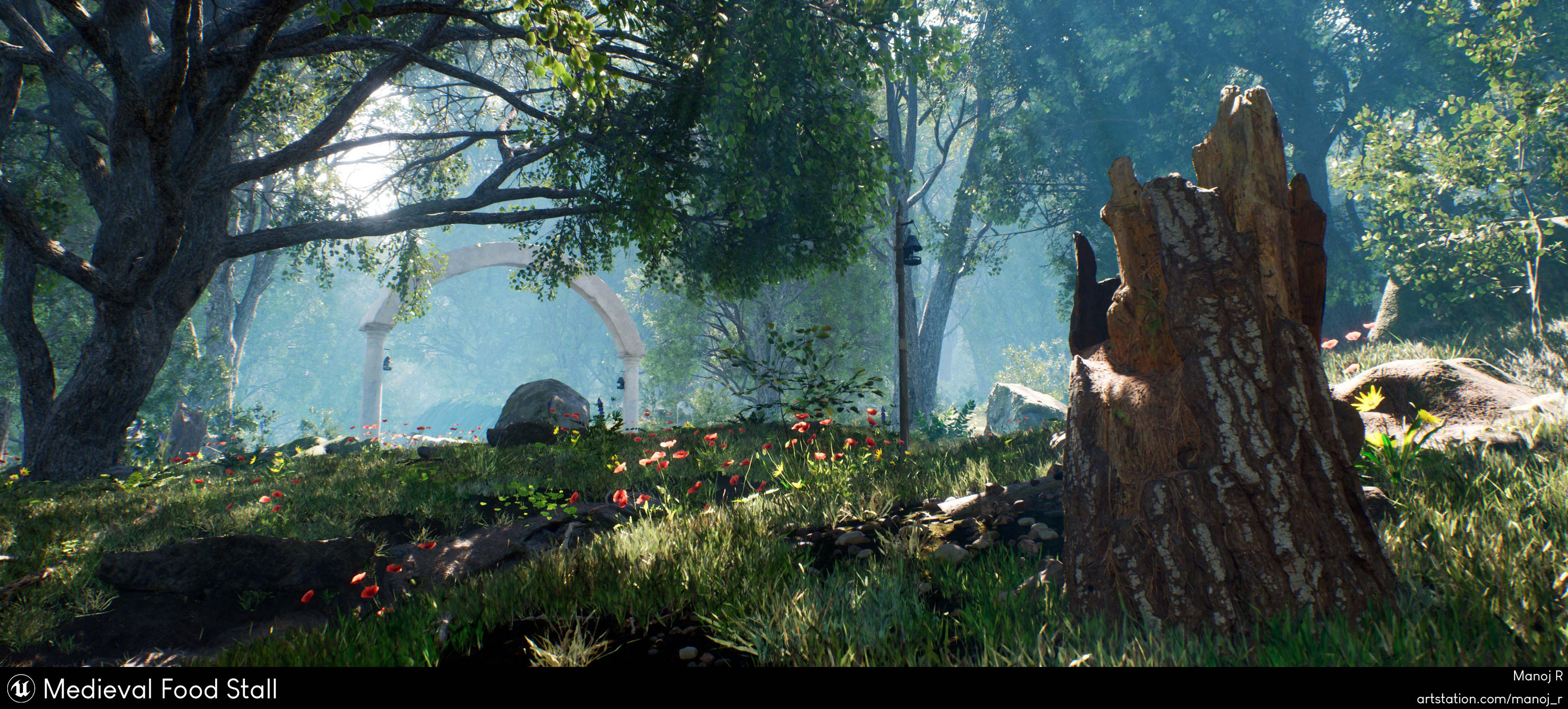 Tree Stump