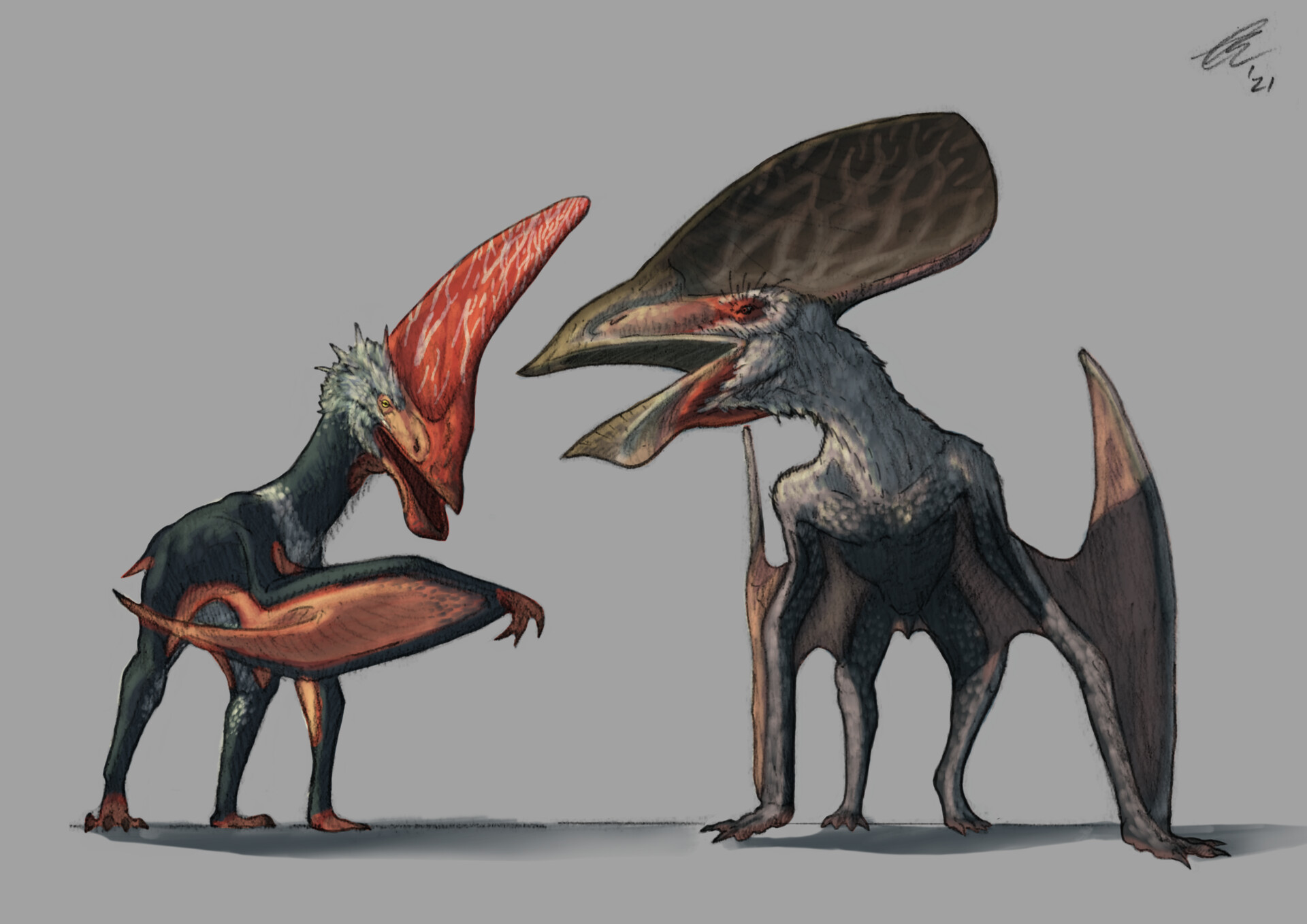 tupandactylus