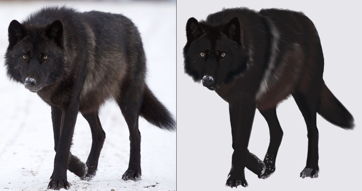 WIP Anthro Wolf Character Designs — polycount