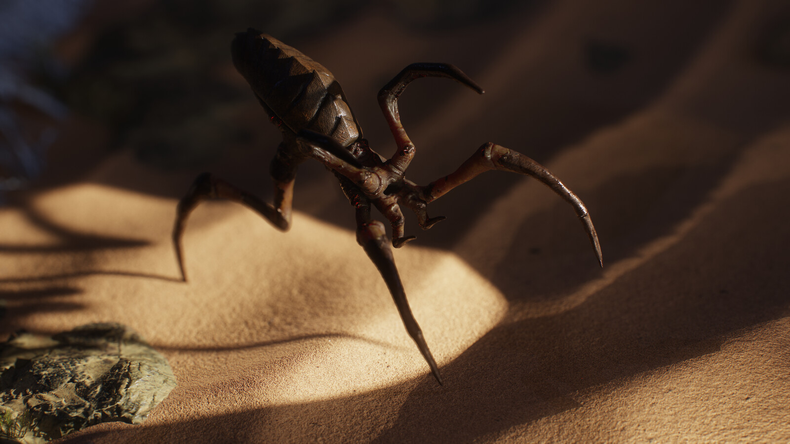 Arid Arachnid