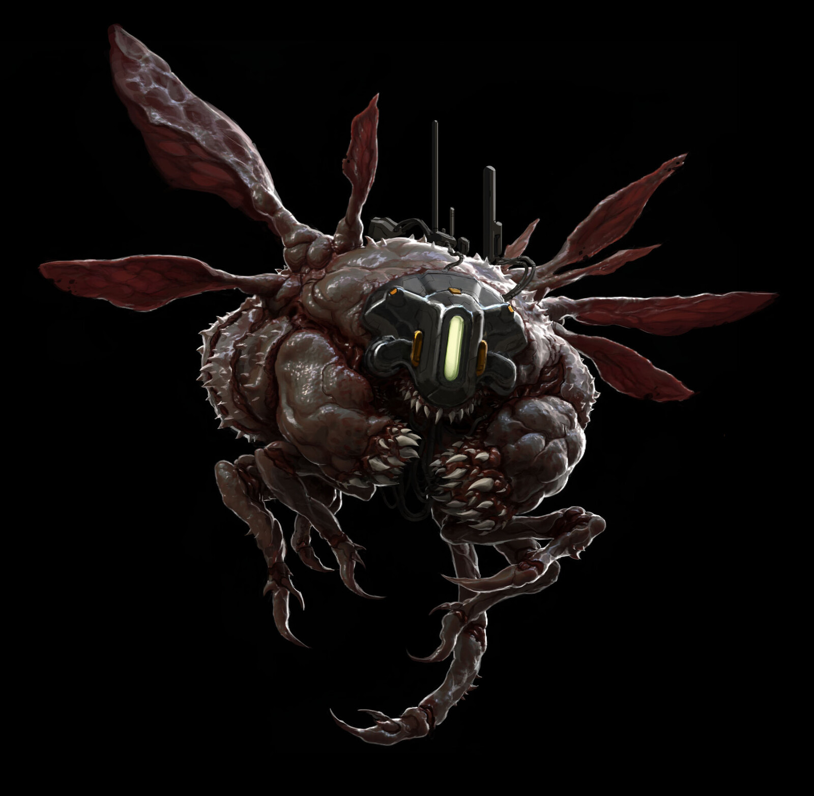 Demon fly