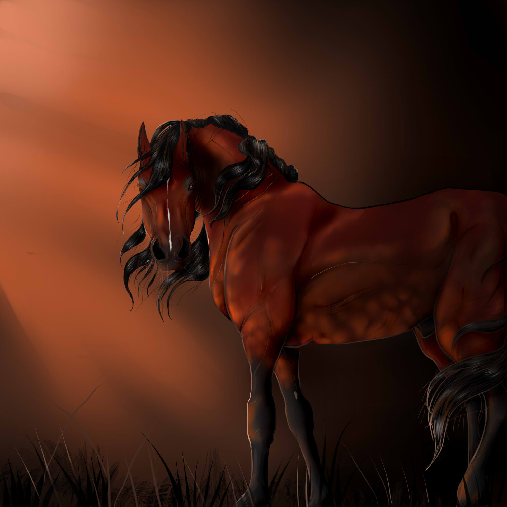 Luxe B Co., Stallion Sketch main image 0