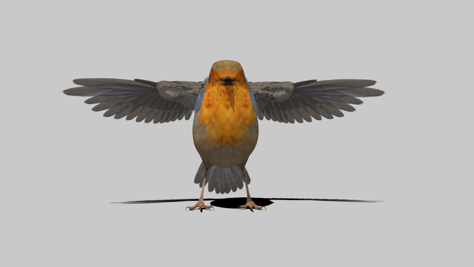 Mustafa vang l 3d european robin bird model realtime