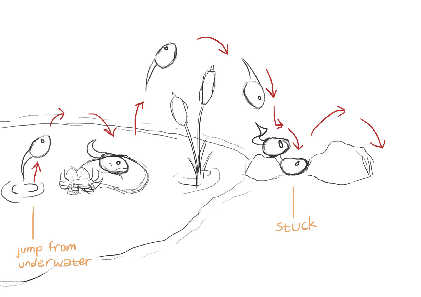 Animation sequence plan