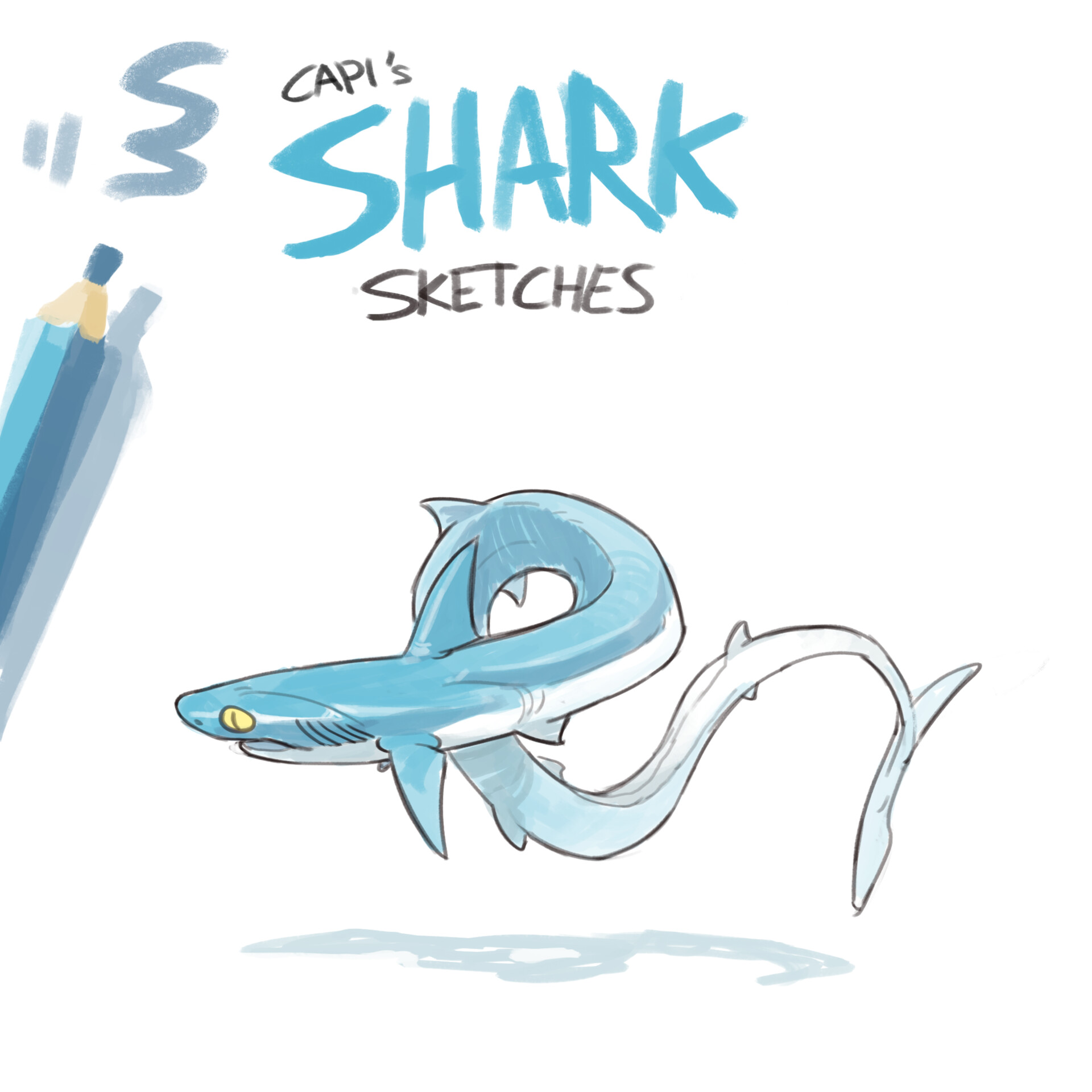 How to draw a shark from the basic fish shape  completed colouredin  drawing  Lets Draw That  Shark drawing Easy animal drawings Sea  creatures drawing
