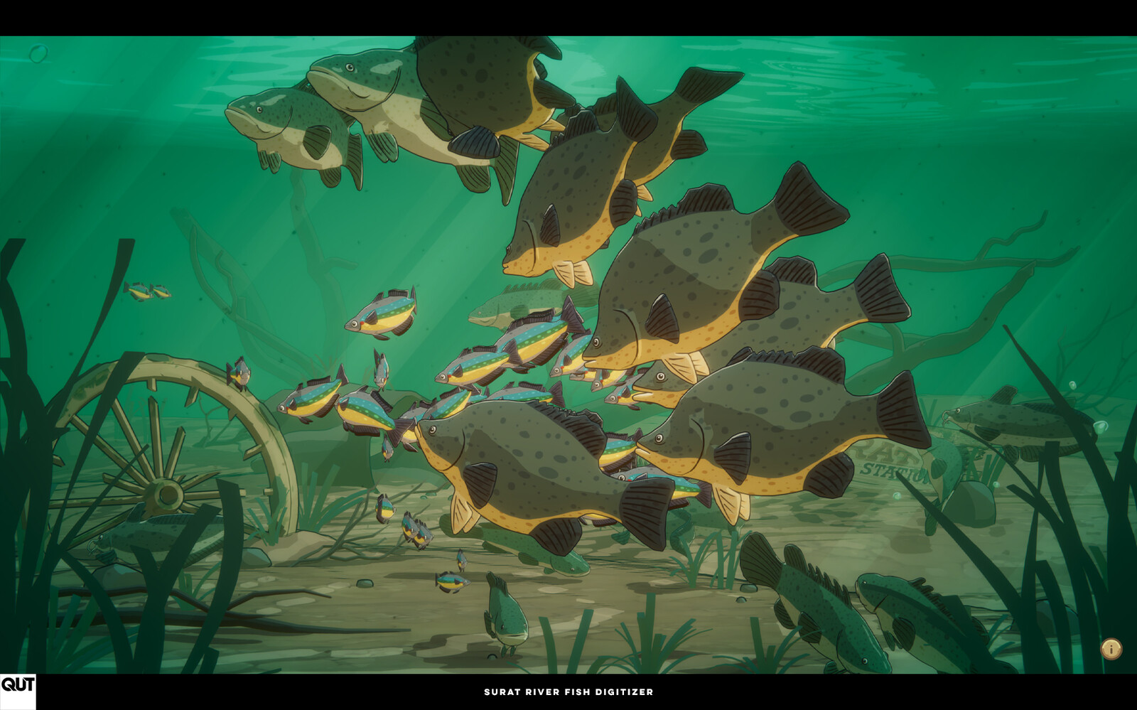 Ryan Bargieł - Surat River Fish Digitizer