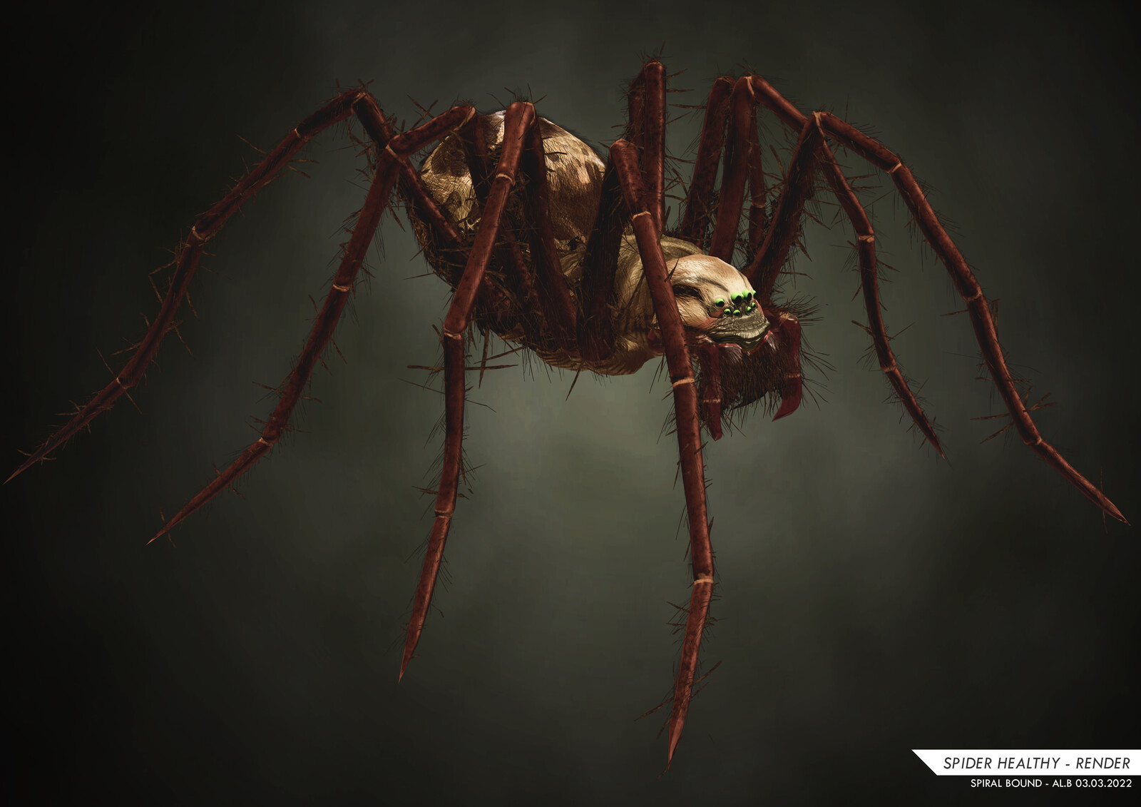 SPIDER - Stylized Game Ready Creature 2022