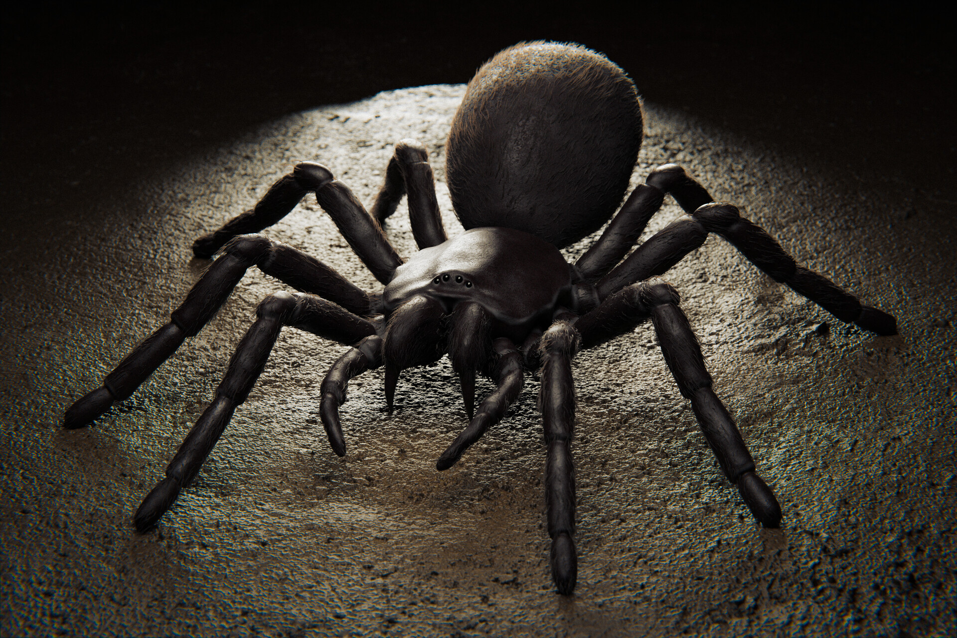 ArtStation FunnelWeb Spider
