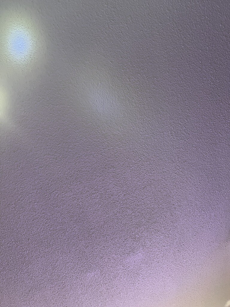 This is my living room ceiling that became the background