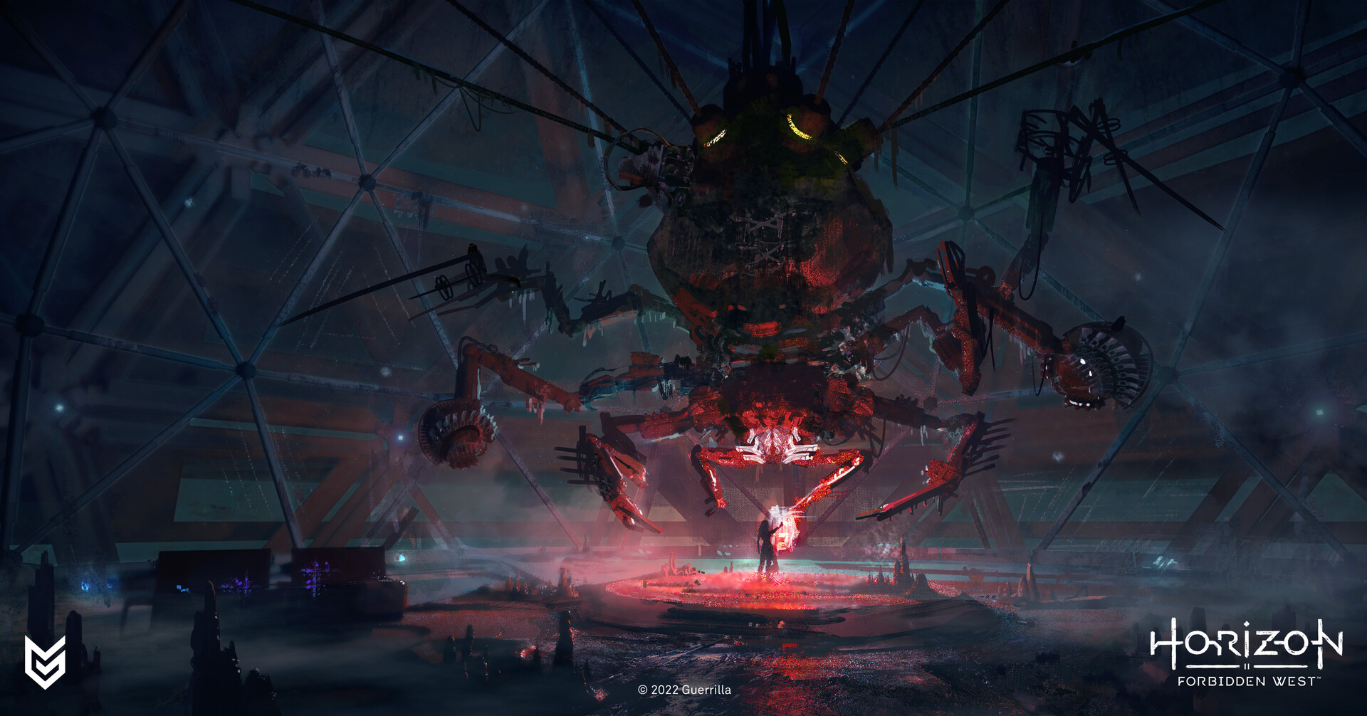 HFW Recluse Spider by Lloyd Allan