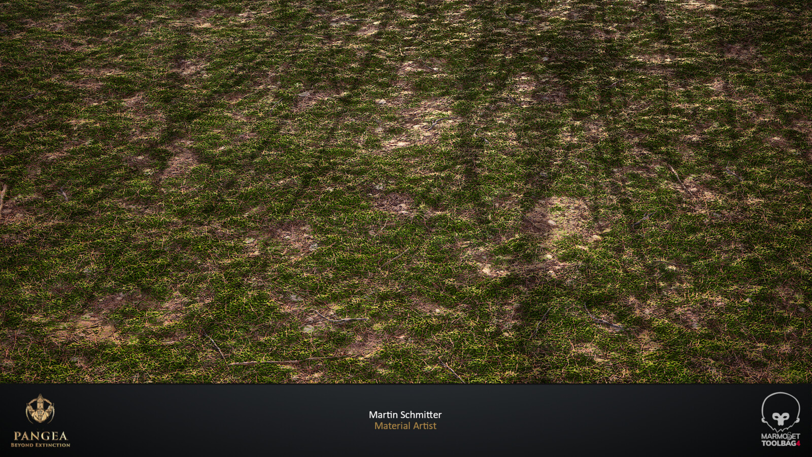 Moss Part Covered Forest Plane Render