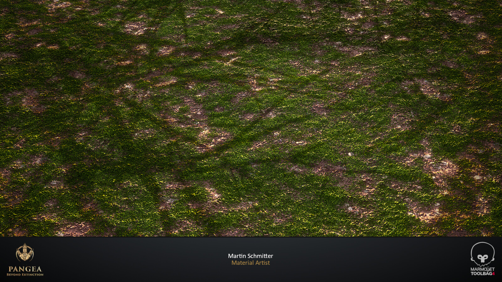 Moss Part Covered Village Plane Render