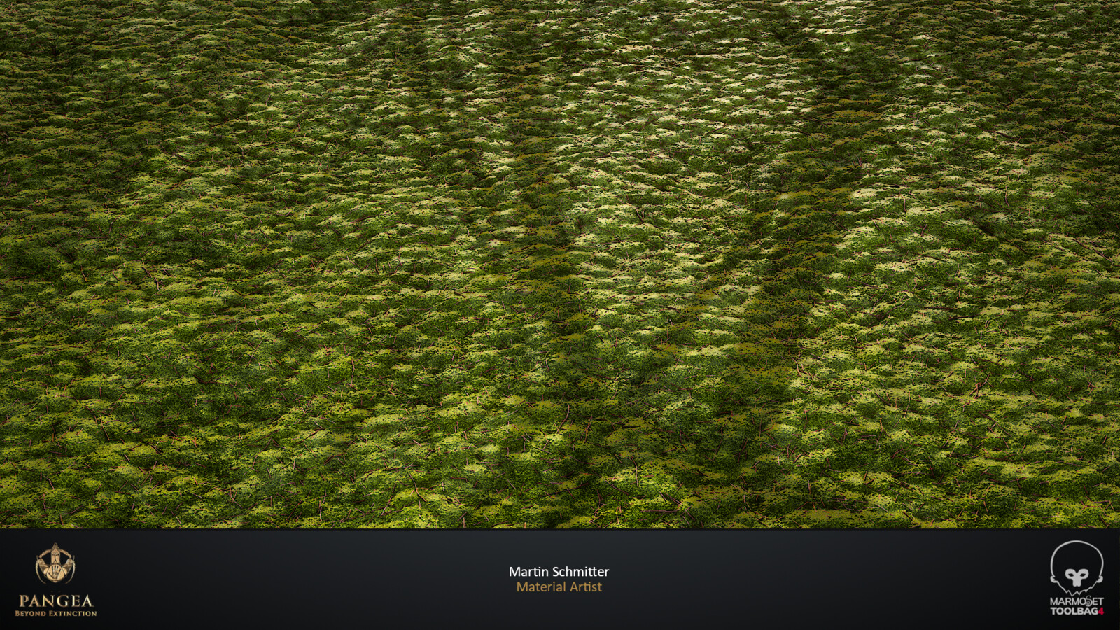 Full Moss Covered V1 Plane Render