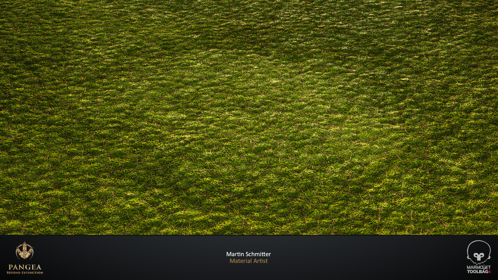 Full Moss Covered V2 Plane Render