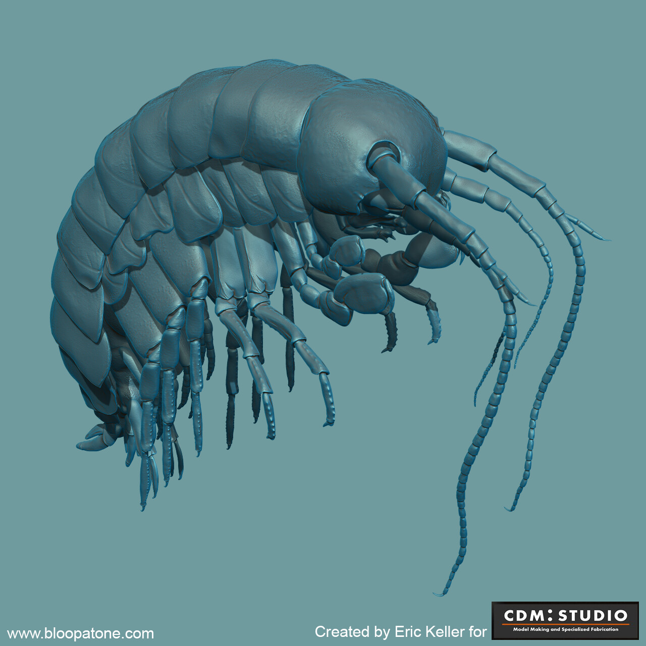 ZBrush render of Amphipod model