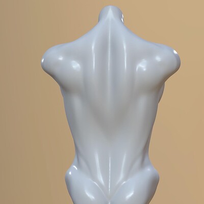 Torso study