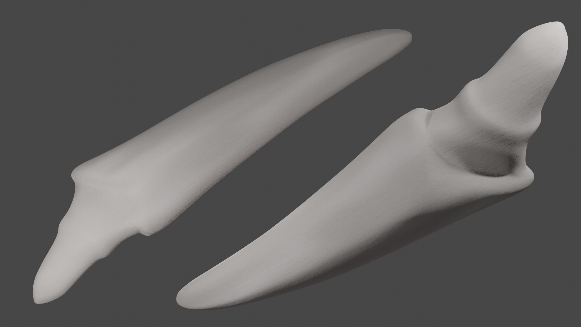 ArtStation Dragon Tooth