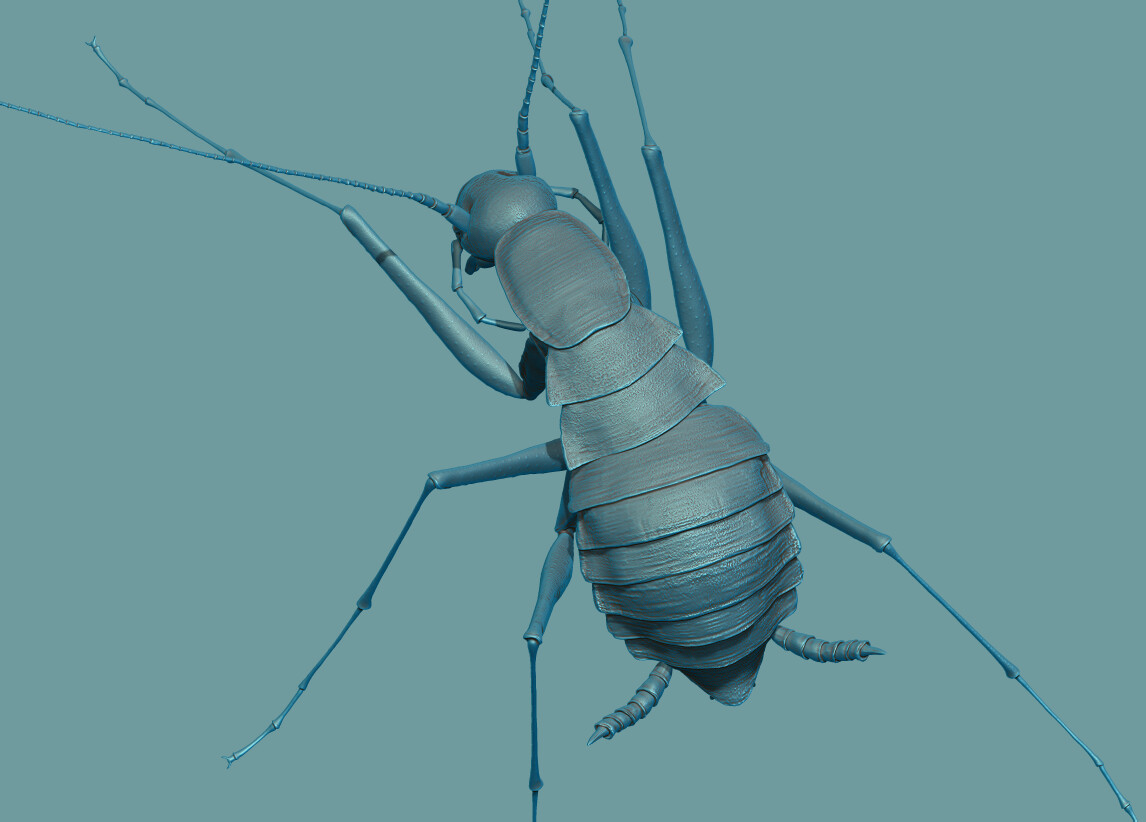 ZBrush render of the cockroach model