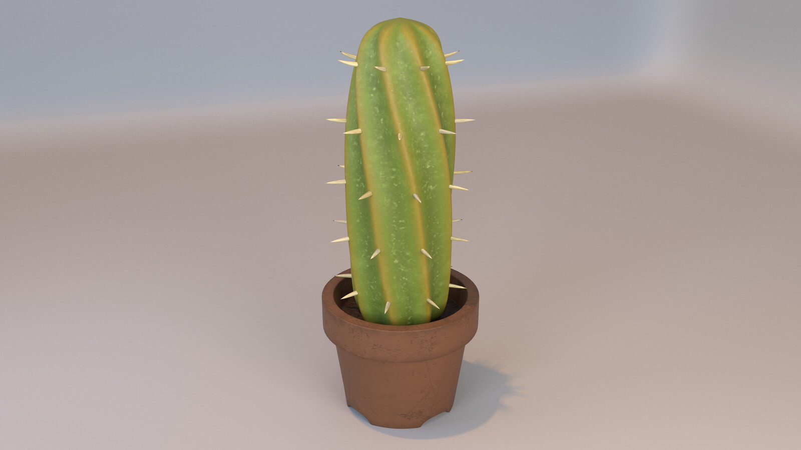 Potted Cactus