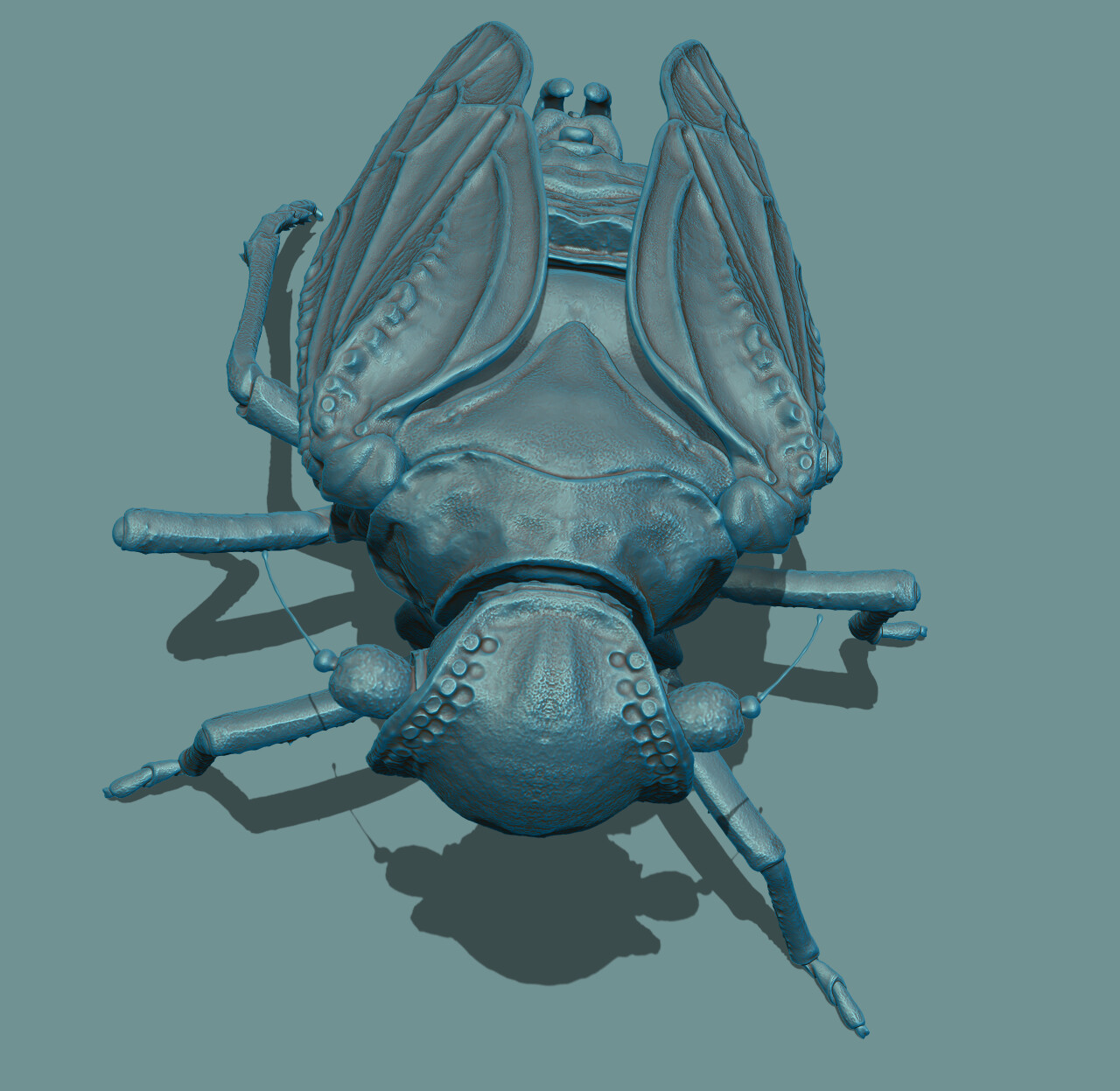 Meenopliid bug rendered in ZBrush
