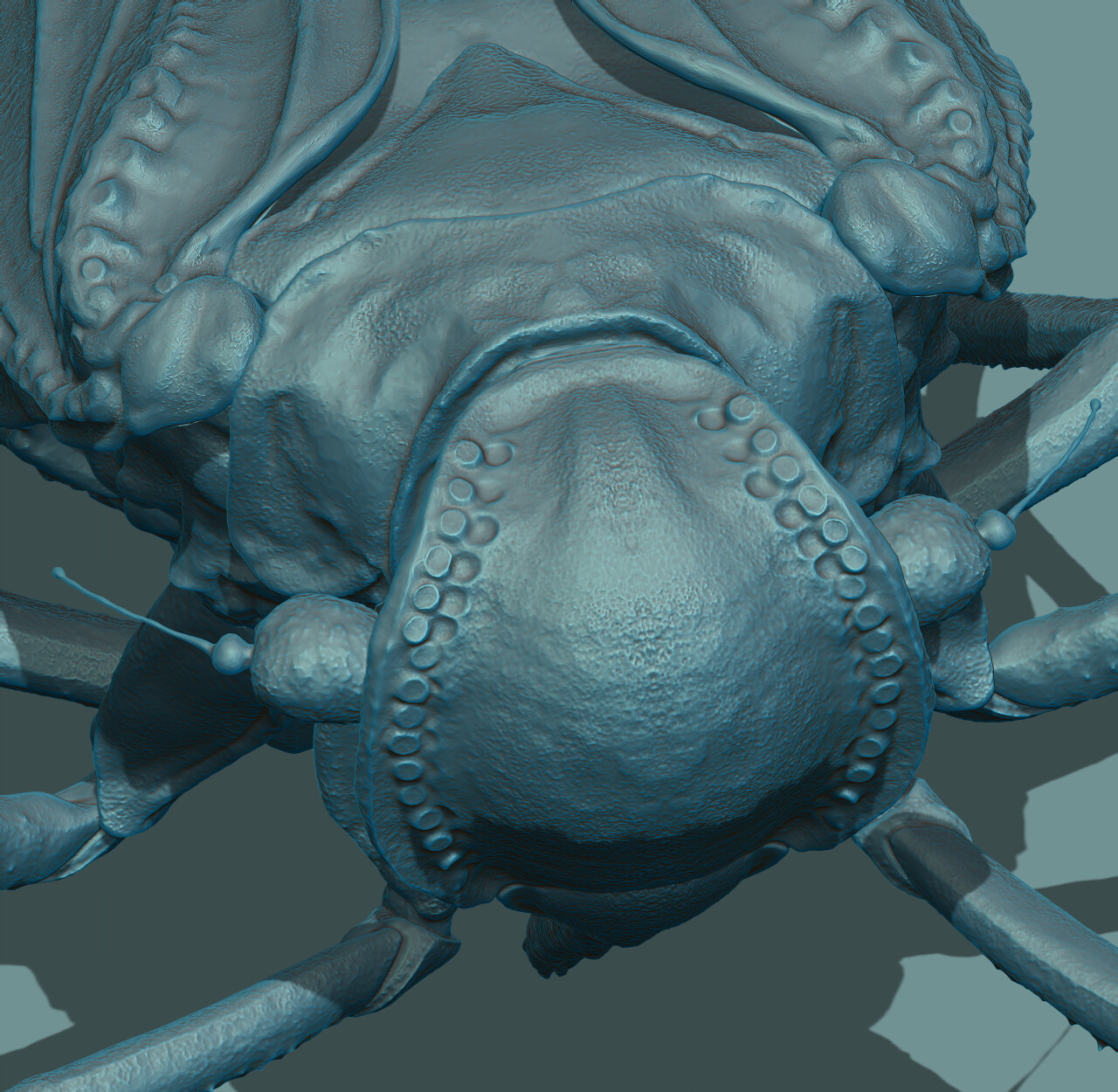 Meenopliid bug rendered in ZBrush