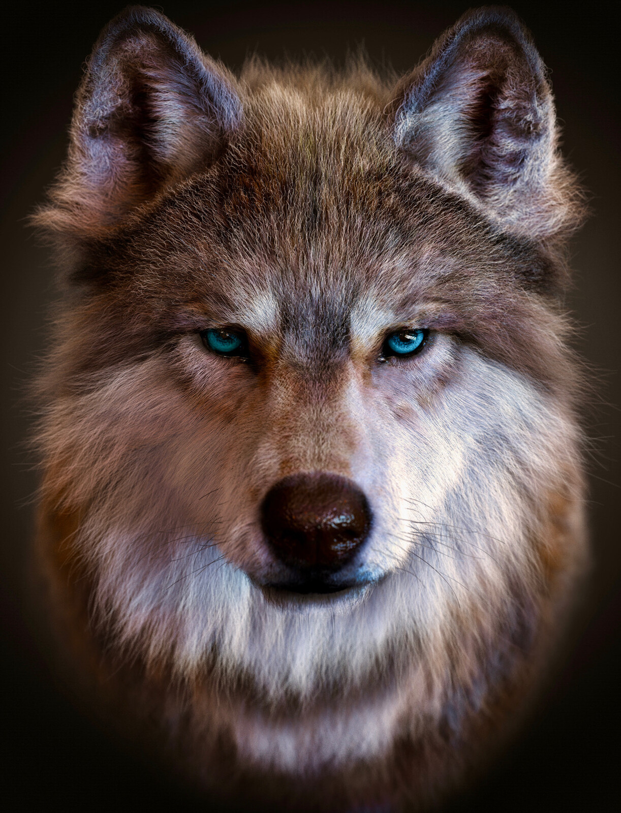 New wolf 4K render