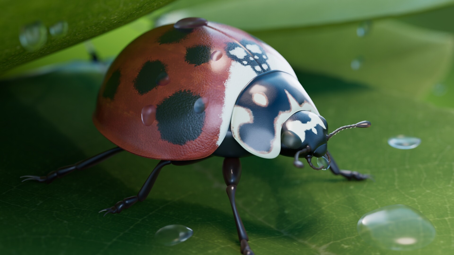 ArtStation - Ladybug Shading et Lighting