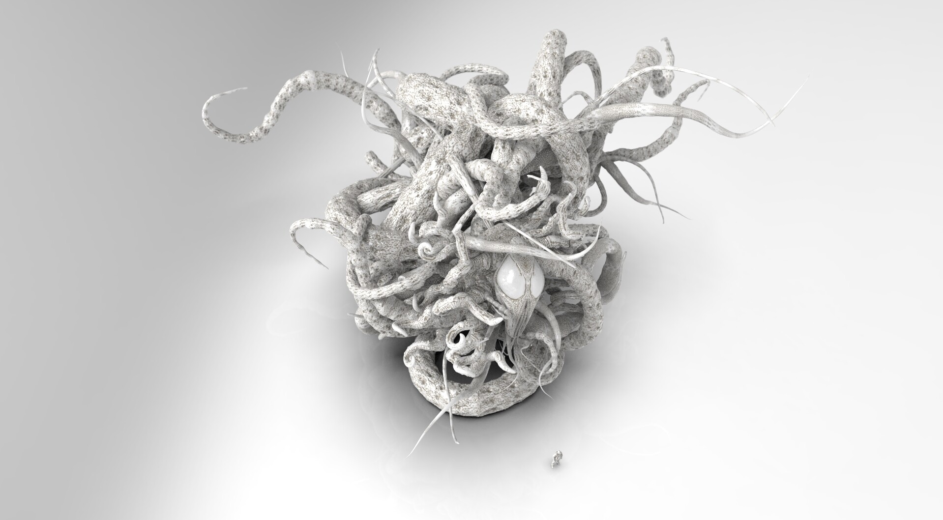 Freestyle :: Store Apparel, image size:1918x1058