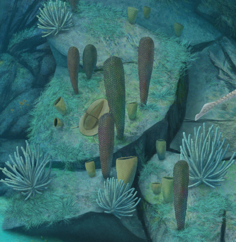 Chancelloria (cactus-like), Diagoniella (cup-like), Sphenoecium (tubes formation) Marpolia (filamentous algae) and a Naraoia walking among them