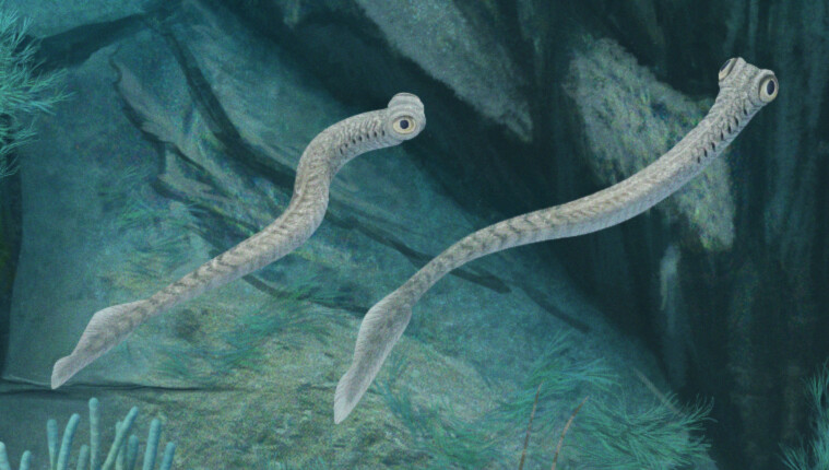 Hertzina