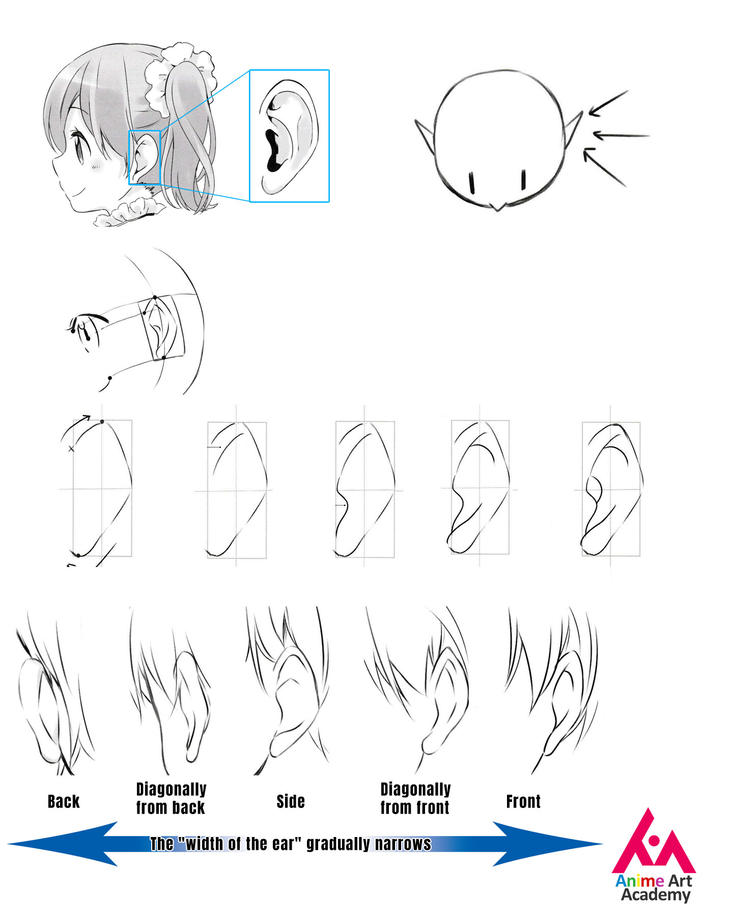 ArtStation - Drawing ears from different angles