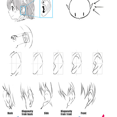 How to use real life anatomy to draw a perfect anime nose! - Anime