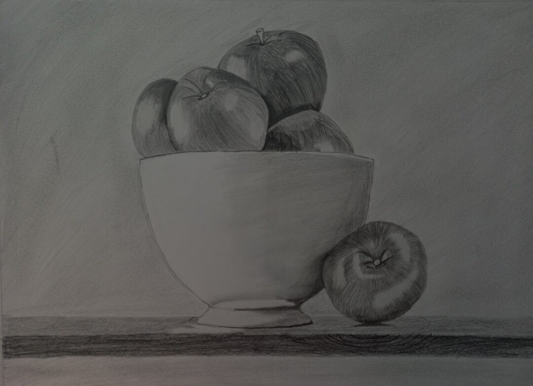 Still life of apples in a bowl charcoal  rdrawing