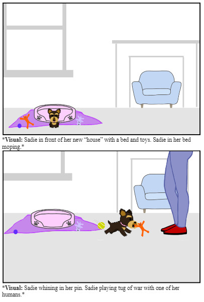 Storyboard Image Four
