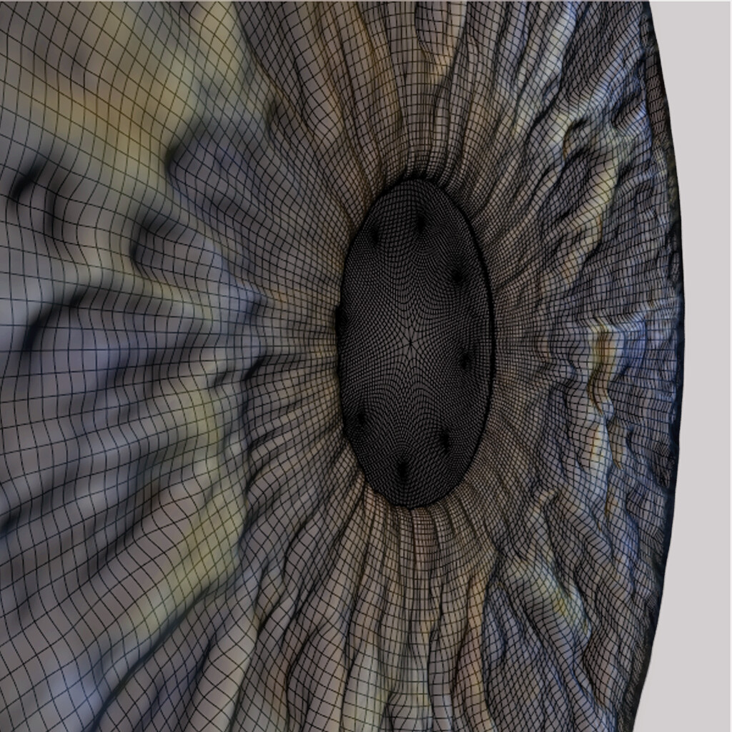 iris geo 