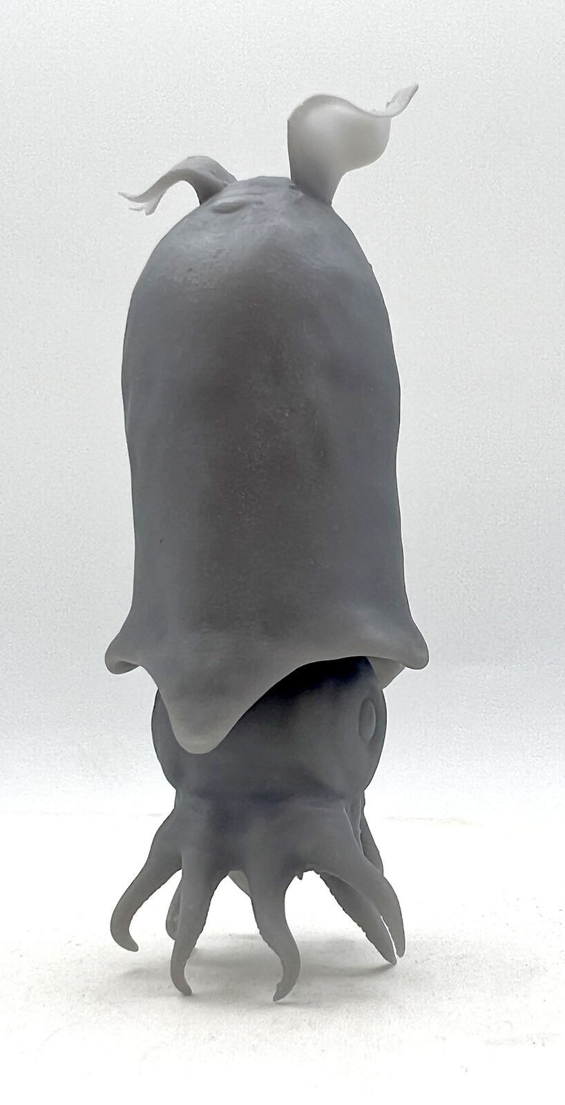 3d Print of Ram's Horn Squid in grey resin