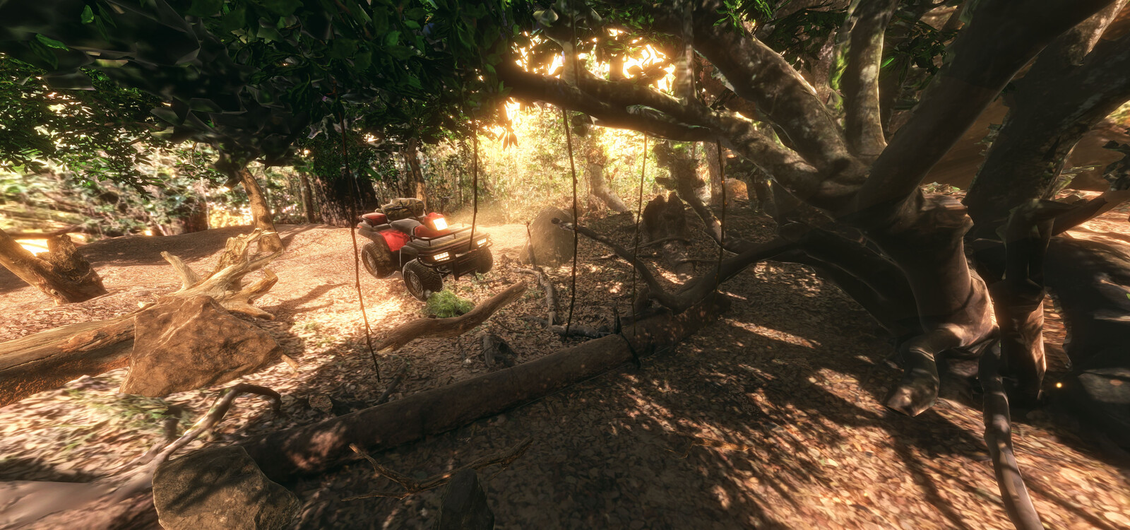 Forest angle 2