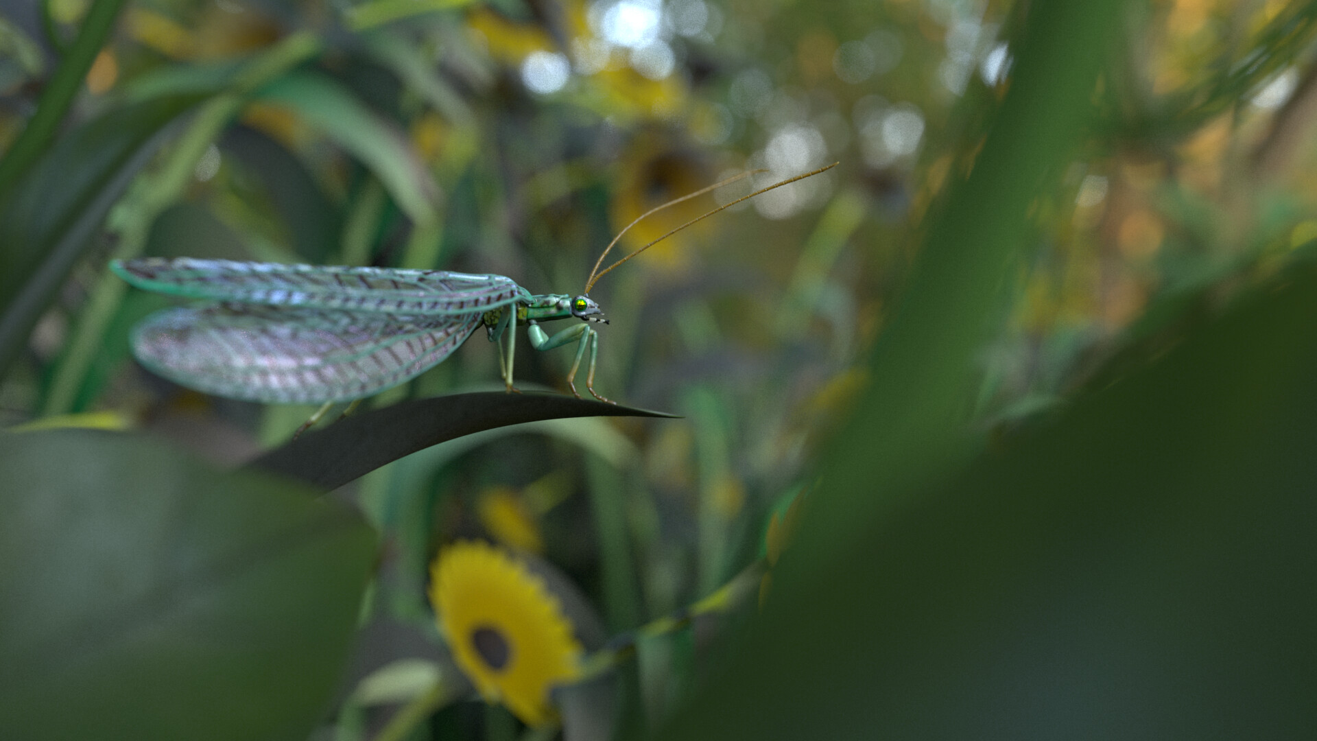 Manon Agtz - insect exercice