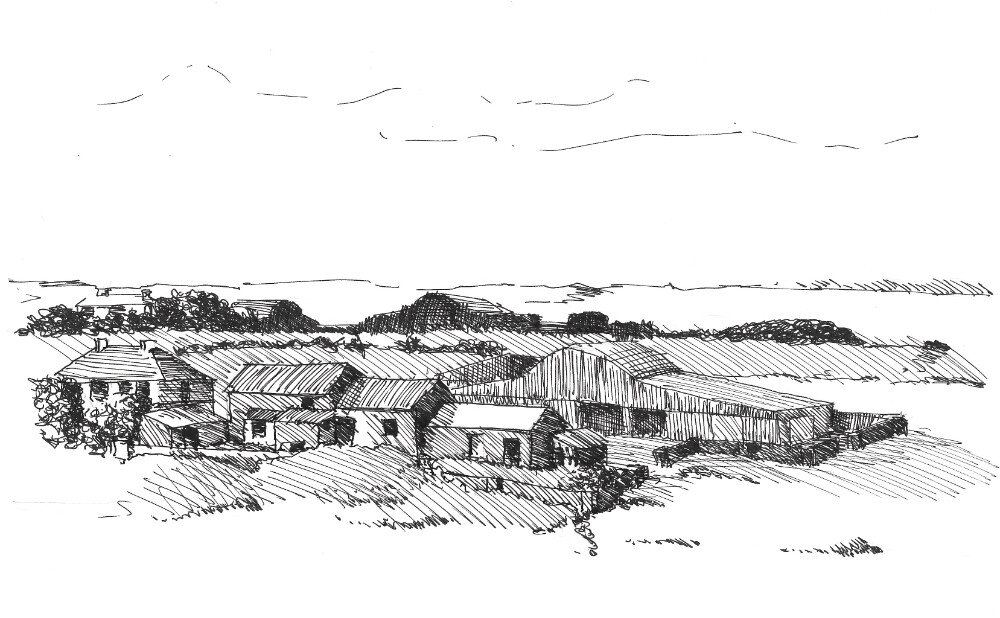 Farm scene in pen and ink.