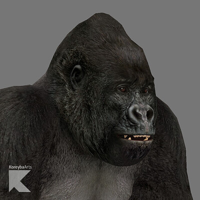 K o r e y b a gorilla m 02